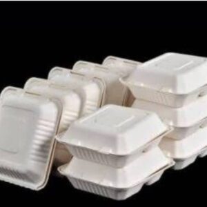 Disposable Takeaway